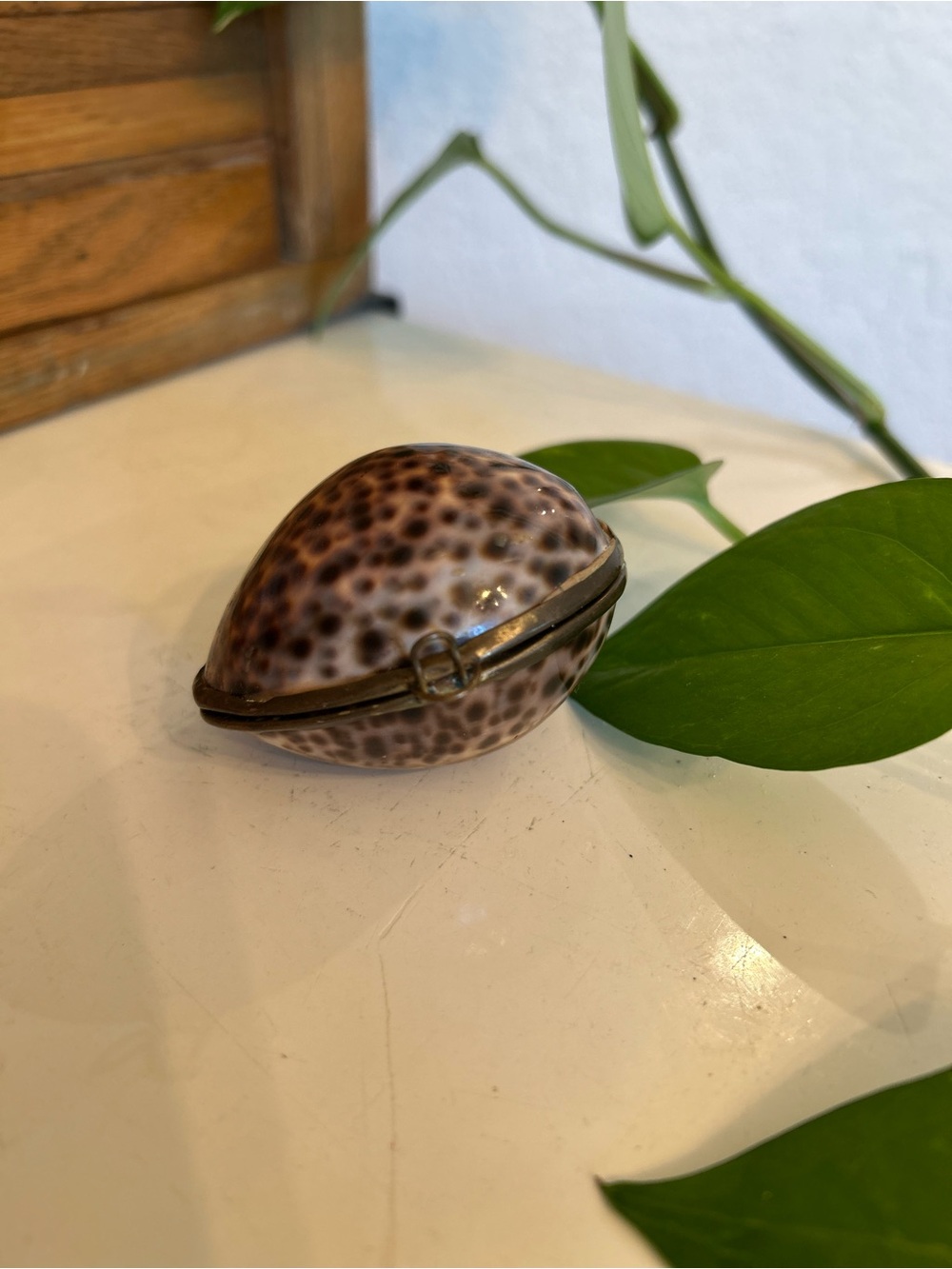 Vintage Speckled Brown Shell Trinket Box